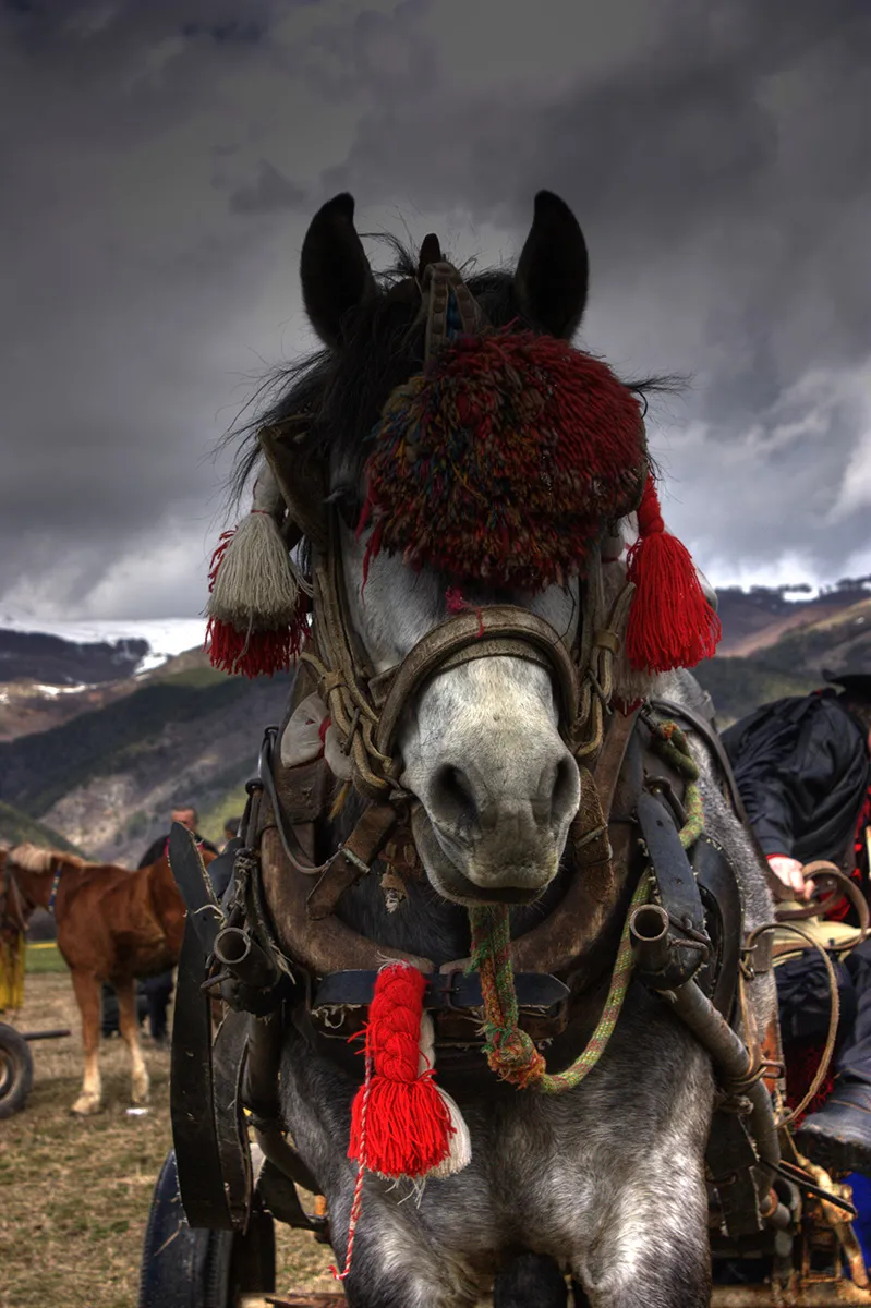 Todorovden_Bulgaria_St_Theodores_Day_by_Klearchos