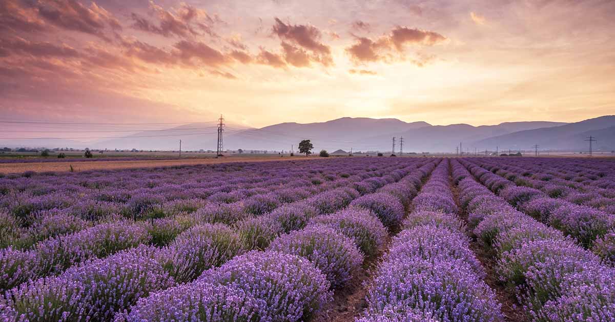 What-to-visit-in-Bulgaria-in-Spring_Balkan-Trails_9