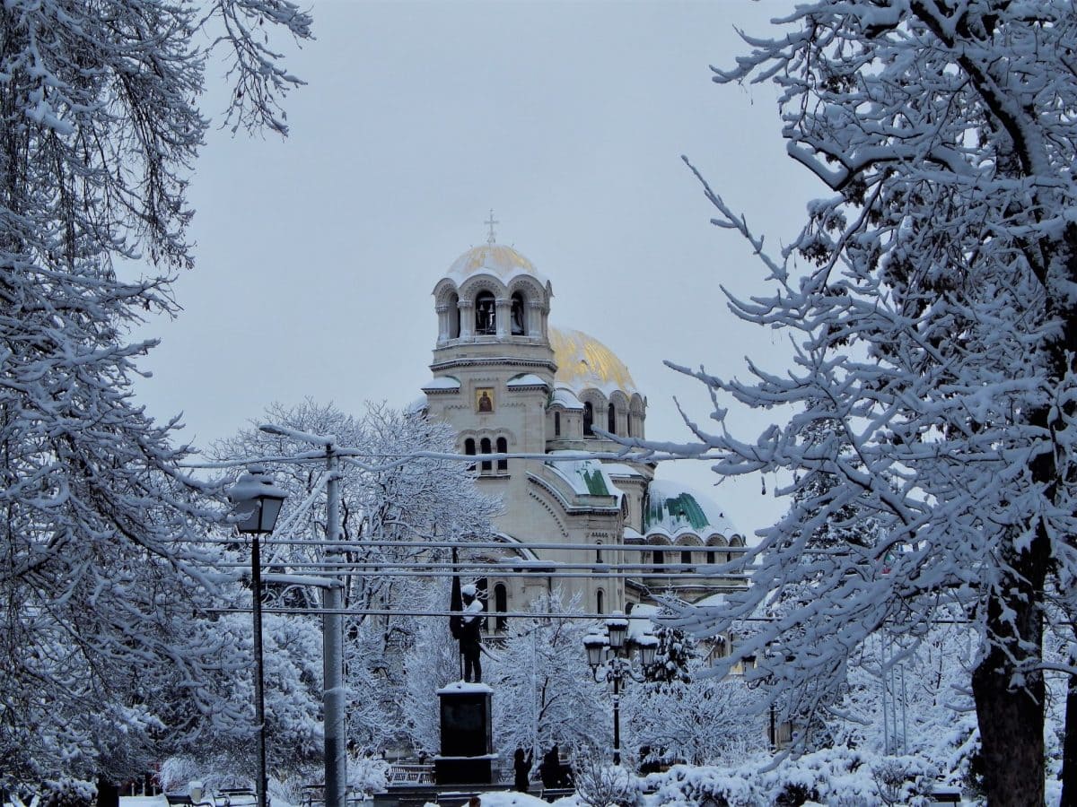 snowy-sofia-e1669384677862